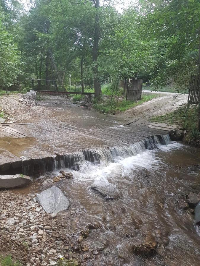 Pensiunea Valea Tonii Strungari Экстерьер фото